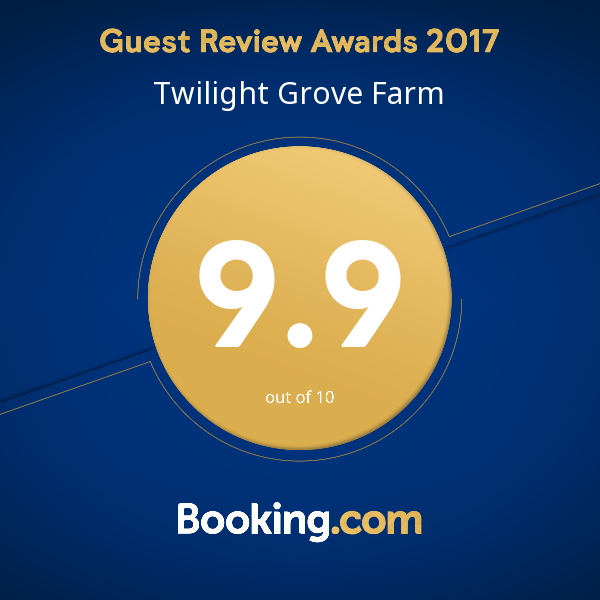 booking.com 9.9/10 rating award!